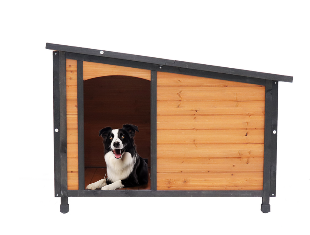Dog House