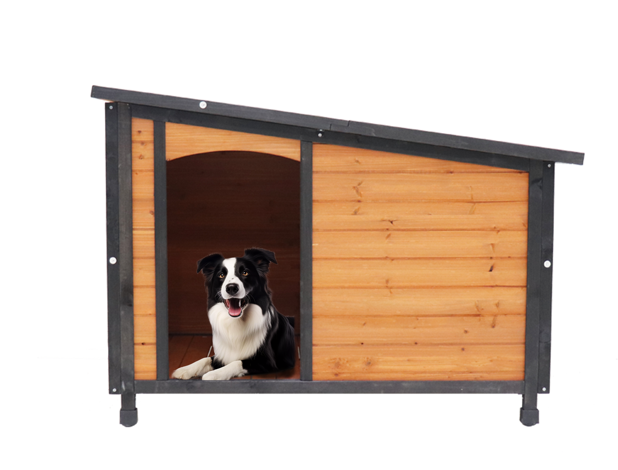Dog House