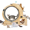 Cat Exercise Wheel