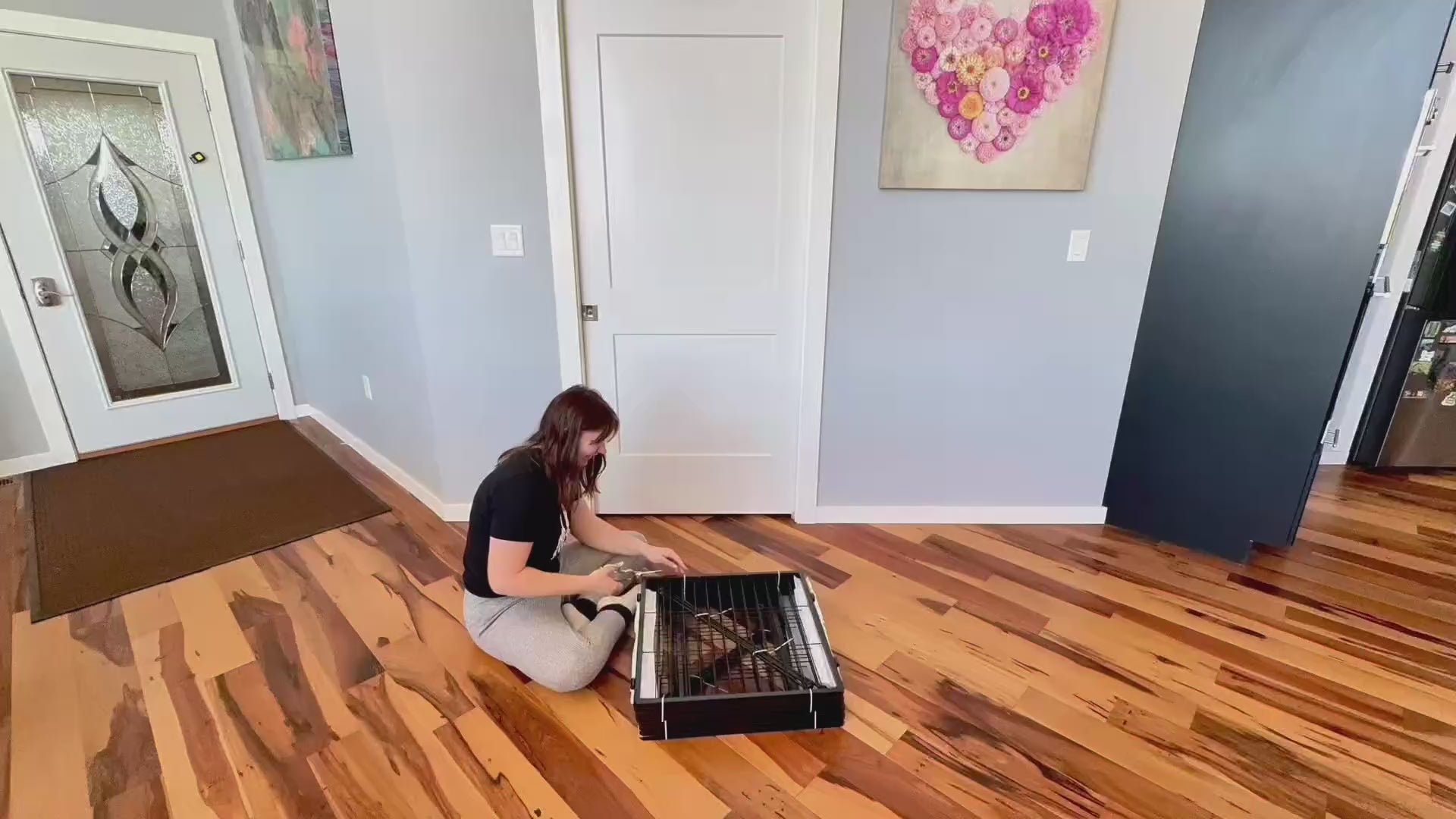 Dog Playpen