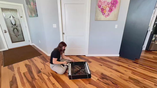 Dog Playpen